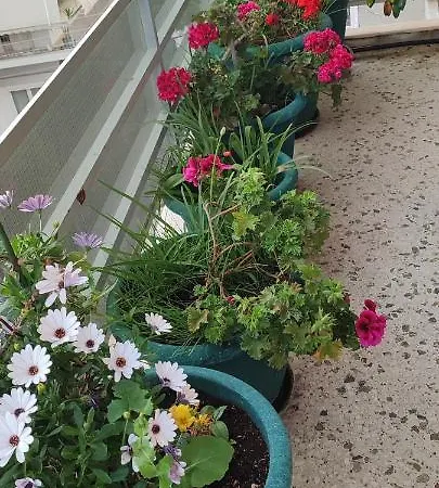 Annadel Flat Apartment Athens